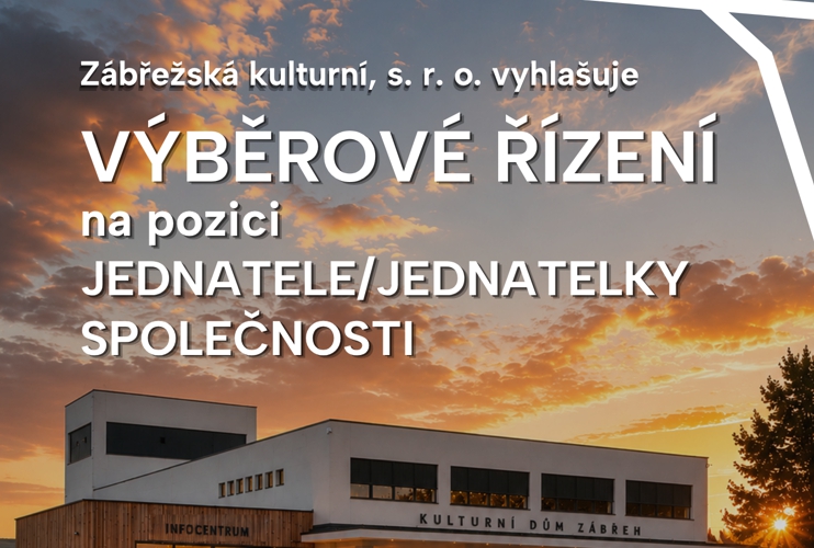 VÝBĚROVÉ ŘÍZENÍ