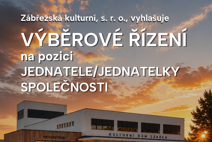 VÝBĚROVÉ ŘÍZENÍ